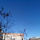 ���� �������, ������, 58 ��� - ��������� 17 ������� 2017 � ������ ���� ����������