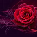 ���� ����, �������, 34 ���� - ��������� 23 �������� 2016 � ������ ���� ����������