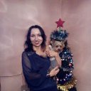 ���� ����, ��������� - ��������� 2 ������ 2017 � ������ ���� ����������