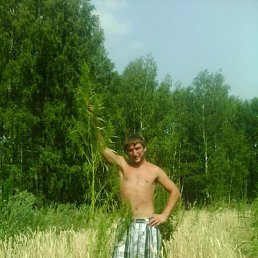 ������, 38 ���, ������