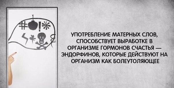   - 17  2016  23:53