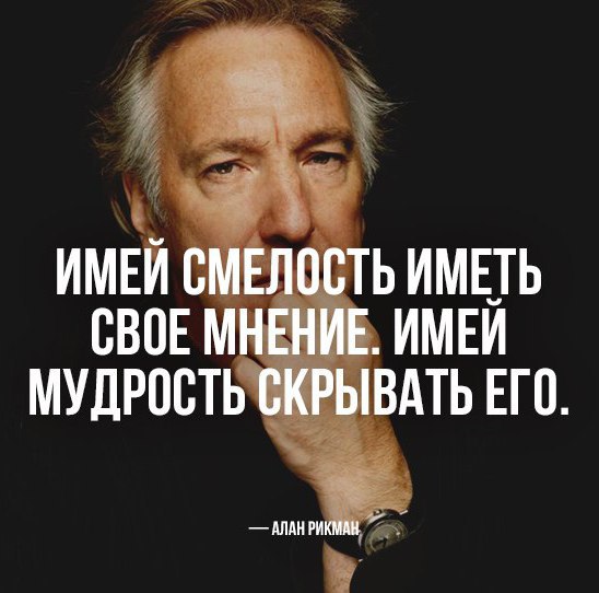 BEST | , ,  - 24  2016  07:37