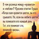 ���� Svet_����, ������ - ��������� 31 ������ 2017 � ������ ���� ����������