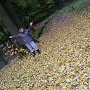  , , 60  -  18  2016   )))