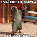 ���� �������, �������, 35 ��� - ��������� 20 ������ 2016 � ������ ������ ��������