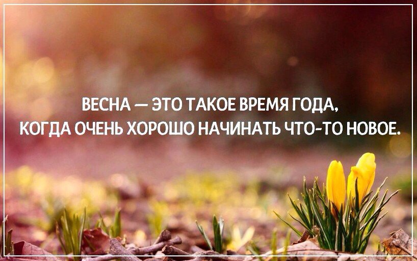   - 3  2017  04:45