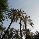 ����� ������ �� ������� ������, ������� 2016�