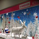 ���� �������, ������� - ��������� 30 ������� 2016 � ������ ��������� 2016�
