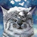 ���� M�����, ������ - ��������� 7 ������� 2016 � ������ ������ ��������