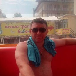 ������, ���������, 49 ���