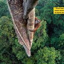 ���� �������, ��������, 45 ��� - ��������� 16 ����� 2017 � ������ ���� ����������