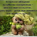 ���� �������, �����������, 58 ��� - ��������� 8 ������� 2016 � ������ �����