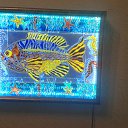 ���� Denis, �����-���������, 45 ��� - ��������� 27 ������ 2016