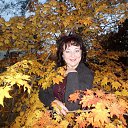  , , 59  -  27  2016    !....