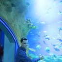 ���� ����, ��������, 38 ��� - ��������� 12 �������� 2016 � ������ ���� ����������