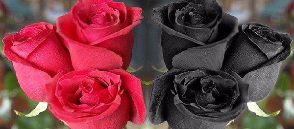 _ �� �������� ����-��, ��� �� �� ����, �� ���� �������, ���� �� ���������� �� �������� � ��� ����� ...