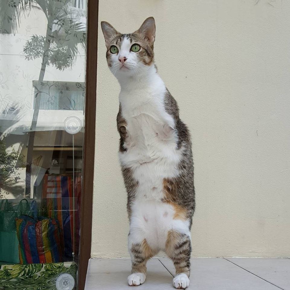  :    .     ,    .   ... - 2