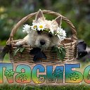 ���� ����, �����-���������, 46 ��� - ��������� 19 ������ 2016 � ������ �������� ��������