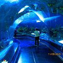 ���� Anatol, ������� - ��������� 5 ������� 2016 � ������ �����������. �. �������. �����������.�