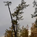 ���� �����, ����� ������� - ��������� 9 ������ 2016 � ������ �����-������߻