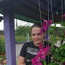 ���� ���, ������ - ��������� 3 ����� 2017 � ������ ���� ����������