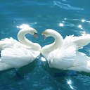 ���� ������������, �������, 59 ��� - ��������� 12 ������ 2016 � ������ ������ ��������