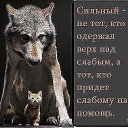 ���� ������, ��������� - ��������� 24 ������� 2016 � ������ ���� ����������