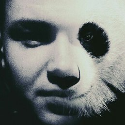 ���� ������, ���������, 29 ��� - ��������� 28 ������ 2017