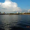 ���� �����, ���� - ��������� 3 ������� 2016 � ������ �������������