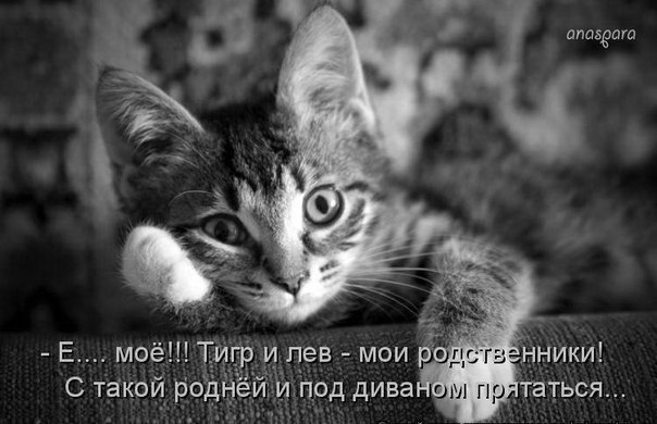   - 27  2016  12:19