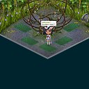 ���� ������, ������ - ��������� 15 ������� 2017