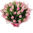 ���� Kazimieras, ����� - ��������� 8 ����� 2017 � ������ ������ ��������