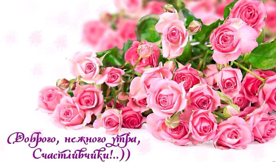  , !..))     ...  ,  , ...  ...