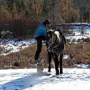 ���� ��������, ����, 52 ���� - ��������� 28 ������ 2016 � ������ ���� ����������