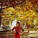 ���� �����, ������ �����, 29 ��� - ��������� 8 ������� 2016 � ������ ���� ����������