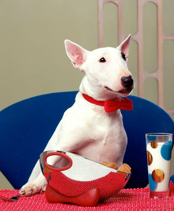 Доброе утро