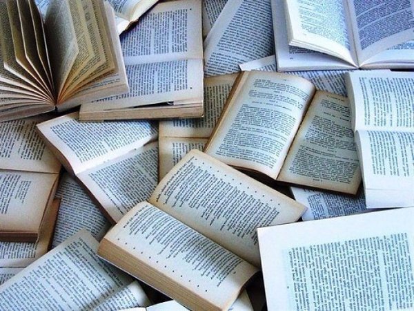 10 ярчайших книг для тех, кто ищет смысл жизни! 1. Алекс Новак – «Книга, которой нет» Почему мы не ...