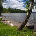 ���� ������, ����������� - ��������� 1 ������� 2017 � ������ ������ ��������