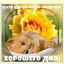 ���� ������, ������-��-���� - ��������� 15 ������ 2017 � ������ ���� ����������