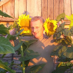 �������, ��������, 54 ����