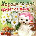 ���� �����, ������������, 46 ��� - ��������� 14 ������ 2016 � ������ ������ ��������