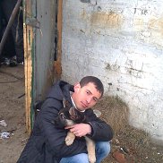 �������, 36 ���, ������-���