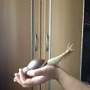 ��� �� ������� ����