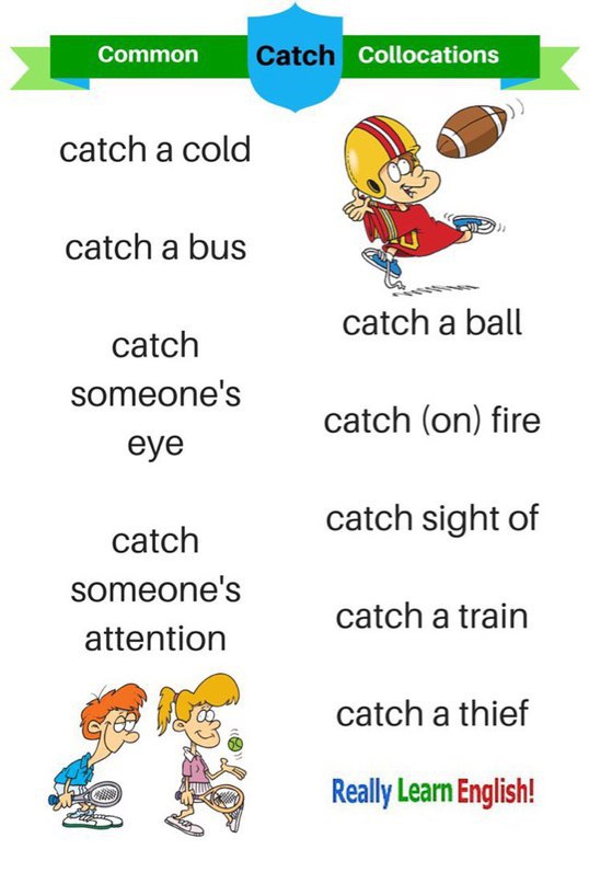     .Collocations -    ... - 6