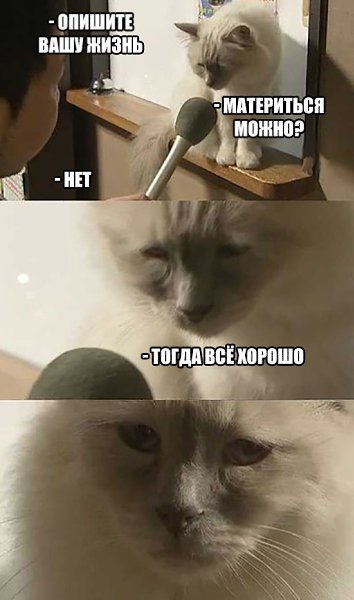  - 24  2016  20:11