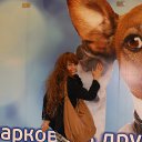 ���� ����, ����������, 53 ���� - ��������� 1 ������ 2017 � ������ ���� ����������