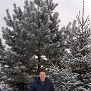 ���� ����, ������, 48 ��� - ��������� 15 ������� 2016