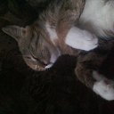 ���� ������, ����, 43 ���� - ��������� 30 ������ 2016 � ������ ���� ����������