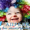 ���� �������, ��������, 71 ��� - ��������� 1 ������ 2017 � ������ ������ ��������