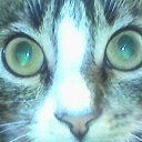 ���� �������, �������, 63 ���� - ��������� 8 ����� 2017 � ������ ��� ������ -�������))))�